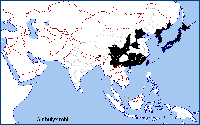 Global distribution of Ambulyx tobii. Map: © NHMUK.
