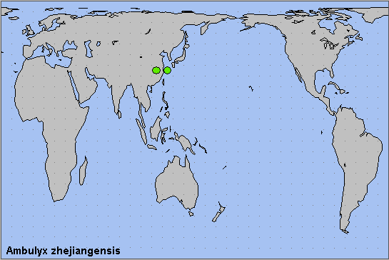 Global distribution of Ambulyx zhejiangensis. Map: © NHMUK.