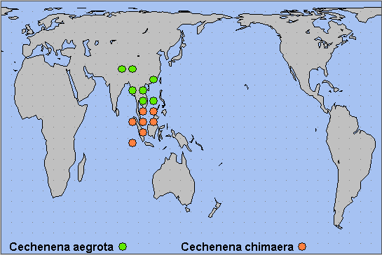 Global distribution of Cechenena aegrota. Map: © NHMUK.
