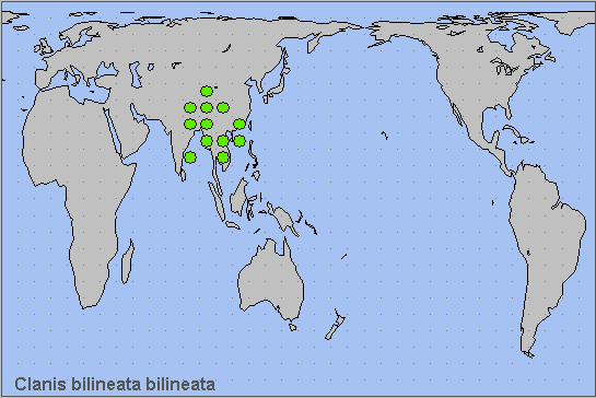 Global distribution of Clanis bilineata bilineata. Map: © NHMUK.