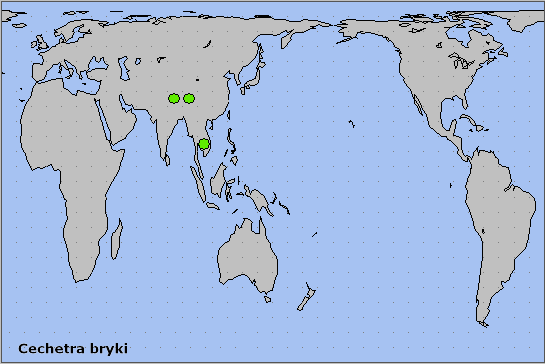 Global distribution of Cechetra bryki. Map: © NHMUK.