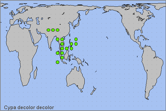 Global distribution of Cypa decolor decolor. Map: © NHMUK.