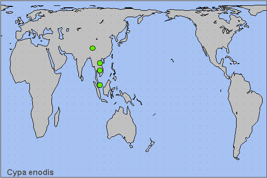 Global distribution of Cypa enodis. Map: © NHMUK.