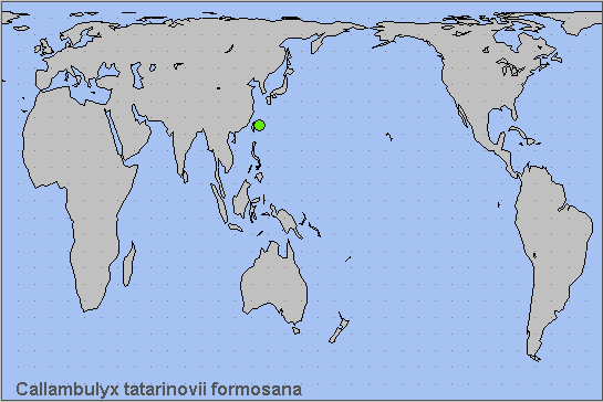 Global distribution of Callambulyx tatarinovii formosana. Map: © NHMUK.