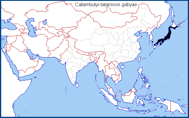 Global distribution of Callambulyx tatarinovii gabyae. Map: © NHMUK.