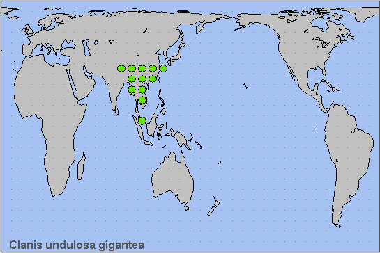 Global distribution of Clanis undulosa gigantea. Map: © NHMUK.