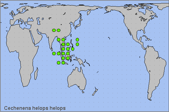 Global distribution of Cechenena helops helops. Map: © NHMUK.