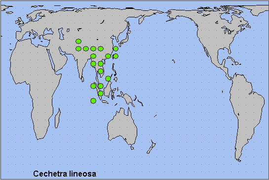 Global distribution of Cechetra lineosa. Map: © NHMUK.