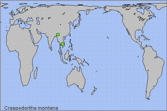 Global distribution of Craspedortha montana. Map: © NHMUK.