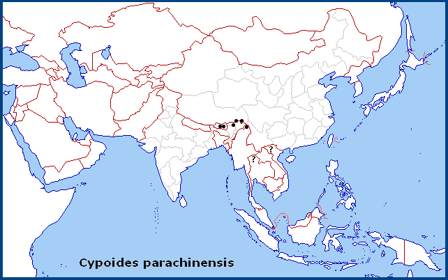 Global distribution of Cypoides parachinensis. Map: © NHMUK.