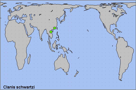Global distribution of Clanis schwartzi. Map: © NHMUK.