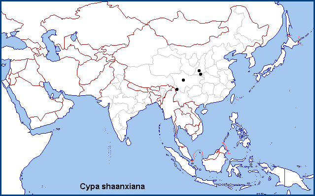Global distribution of Cypa shaanxiana. Map: © NHMUK.