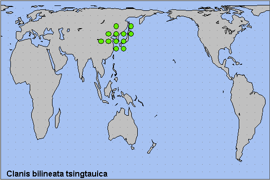 Global distribution of Clanis bilineata tsingtauica. Map: © NHMUK.