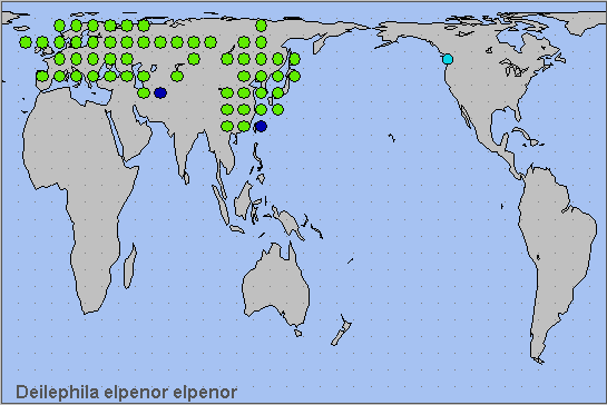 Global distribution of Deilephila elpenor elpenor. Map: © NHMUK.