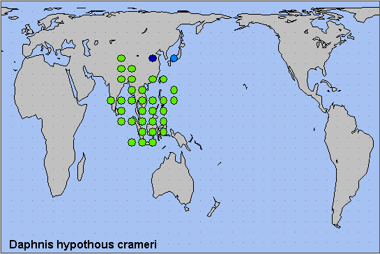 Global distribution of Daphnis hypothous crameri. Map: © NHMUK.