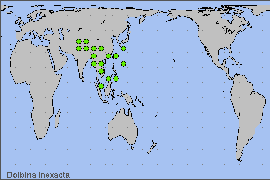 Global distribution of Dolbina inexacta. Map: © NHMUK.