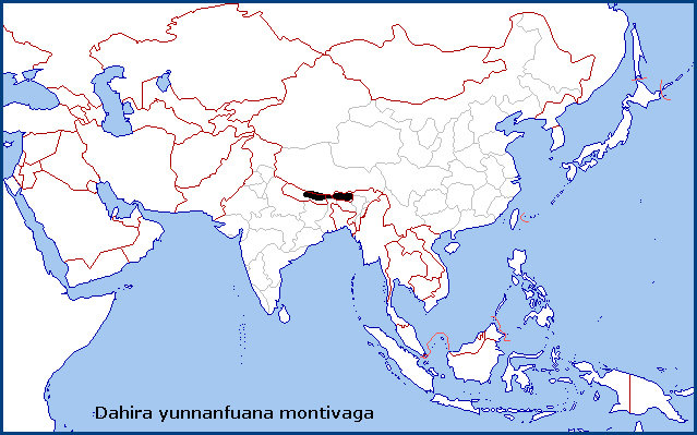 Global distribution of Dahira yunnanfuana montivaga. Map: © Tony Pittaway.