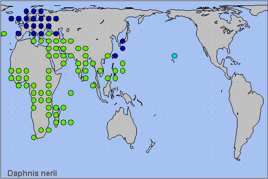 Global distribution of Daphnis nerii. Map: © NHMUK.