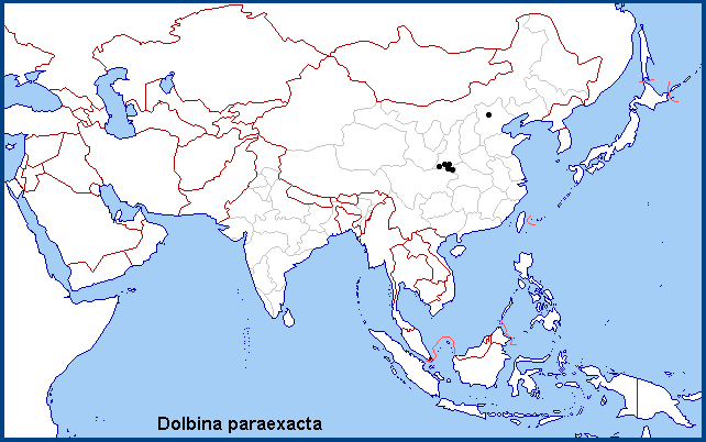 Global distribution of Dolbina paraexacta. Map: © NHMUK.