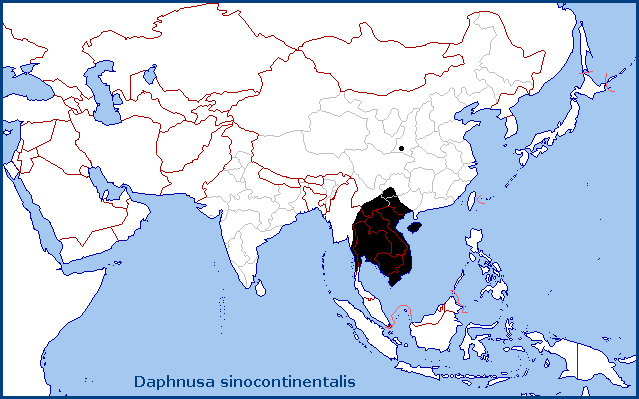 Global distribution of Daphnusa sinocontinentalis. Map: © Tony Pittaway.