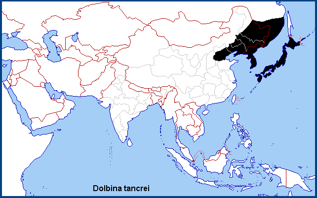 Confirmed distribution of Dolbina tancrei. Map: © NHMUK.