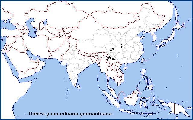 Global distribution of Dahira yunnanfuana yunnanfuana. Map: © Tony Pittaway.