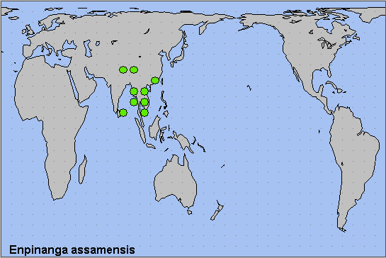 Global distribution of Enpinanga assamensis. Map: © NHMUK.