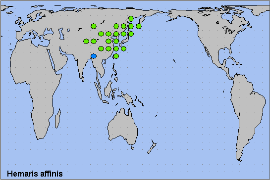 Global distribution of Hemaris affinis. Map: © NHMUK.