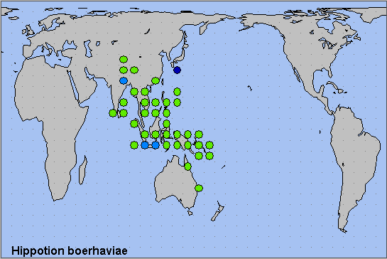 Global distribution of Hippotion boerhaviae. Map: © NHMUK.
