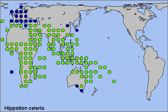 Global distribution of Hippotion celerio. Map: © NHMUK.