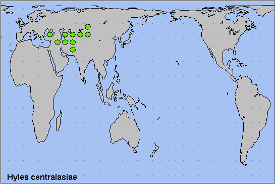 Global distribution of Hyles centralasiae. Map: © NHMUK.