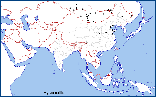Global distribution of Hyles exilis. Map: © NHMUK.