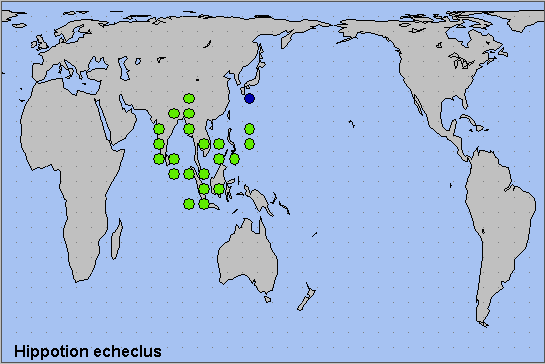 Global distribution of Hippotion echeclus. Map: © NHMUK.
