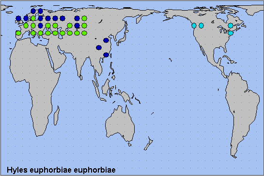 Global distribution of Hyles euphorbiae euphorbiae. Map: © NHMUK.