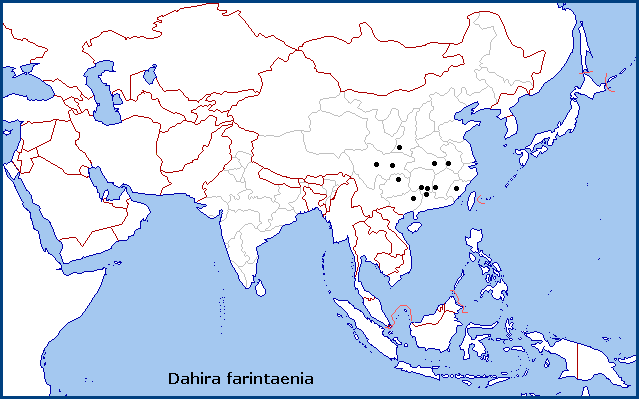 Global distribution of Dahira farintaenia. Map: © Tony Pittaway.