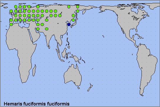 Global distribution of Hemaris fuciformis fuciformis. Map: © NHMUK.