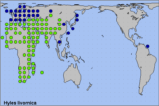 Global distribution of Hyles livornica. Map: © NHMUK.