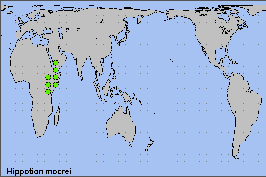 Global distribution of Hippotion moorei. Map: © NHMUK.
