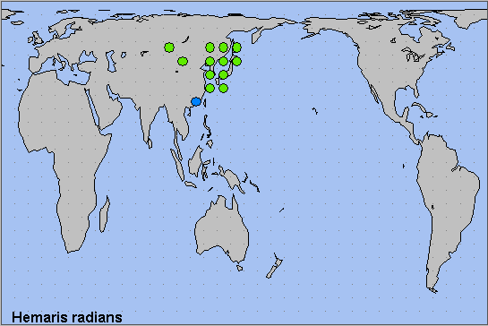 Global distribution of Hemaris radians. Map: © NHMUK.