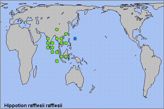 Global distribution of Hippotion rafflesii rafflesii. Map: © NHMUK.