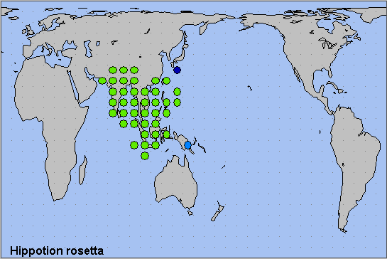 Global distribution of Hippotion rosetta. Map: © NHMUK.