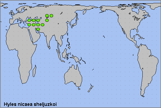 Global distribution of Hyles nicaea sheljuzkoi. Map: © NHMUK.