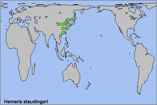Global distribution of Hemaris staudingeri. Map: © NHMUK.