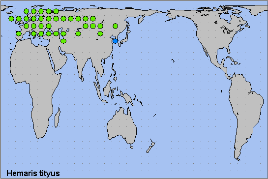 Global distribution of Hemaris tityus. Map: © NHMUK.