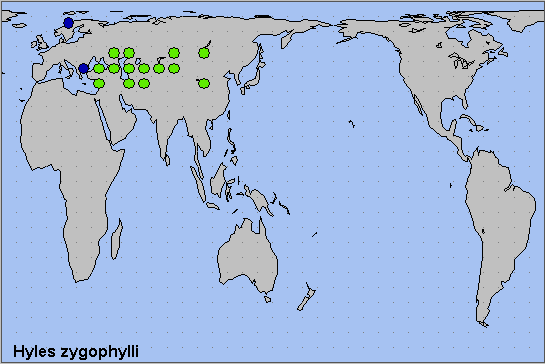 Global distribution of Hyles zygophylli. Map: © NHMUK.