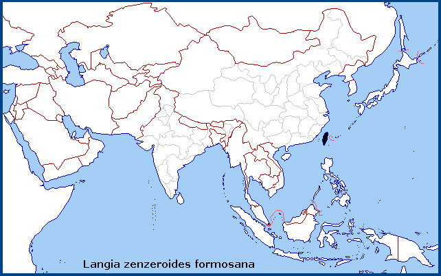 Global distribution of Langia zenzeroides formosana. Map: © NHMUK.