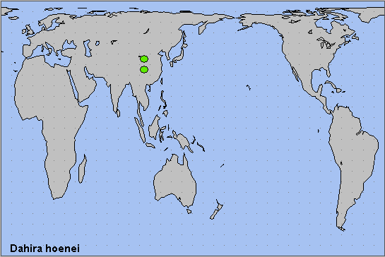 Global distribution of Dahira hoenei. Map: © NHMUK.