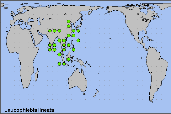 Global distribution of Leucophlebia lineata. Map: © NHMUK.
