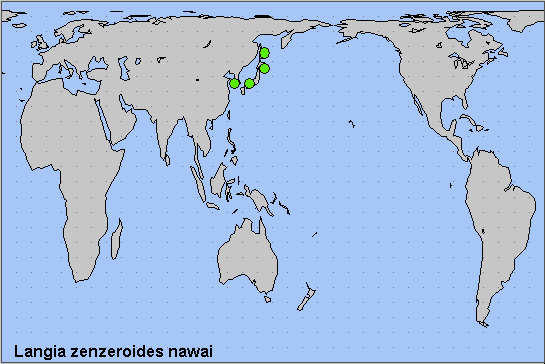 Global distribution of Langia zenzeroides nawai. Map: © NHMUK.