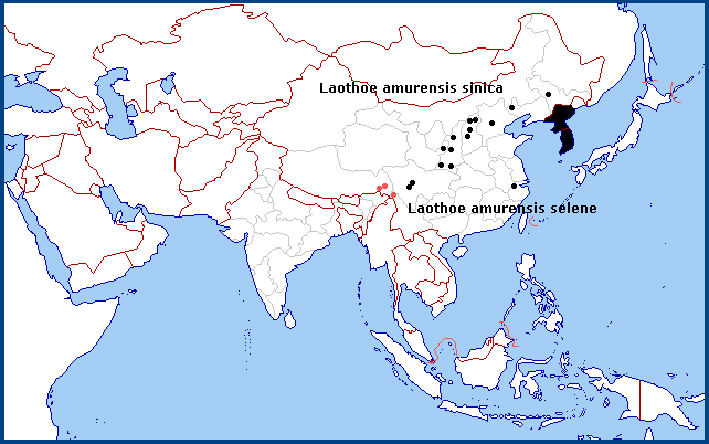 Confirmed distribution of Laothoe amurensis selene in China. Map: © Tony Pittaway